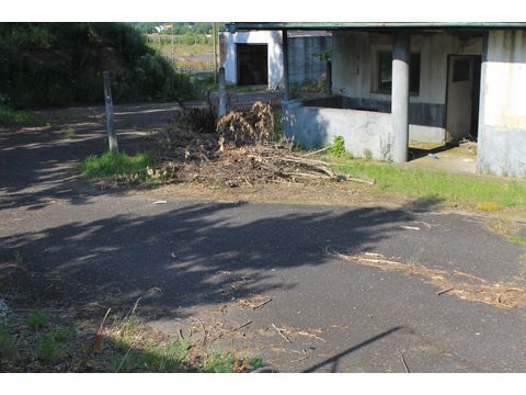 Foto 16